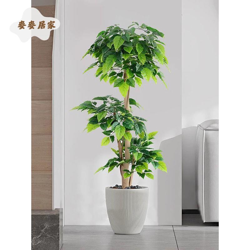 模擬綠植 幸福樹室內客廳發財樹擺件假樹 仿生植物 大型櫥窗造景盆栽[DD0329003]