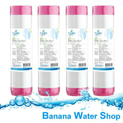 【Banana Water Shop】千山淨水 CT-G6 精密進口三效合一濾芯(4入裝) ★免運費