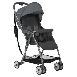 Graco 超輕量型單向嬰幼兒手推車 羽量級 FEATHERWEIGHT-酷樂黑灰【悅兒園婦幼生活館】
