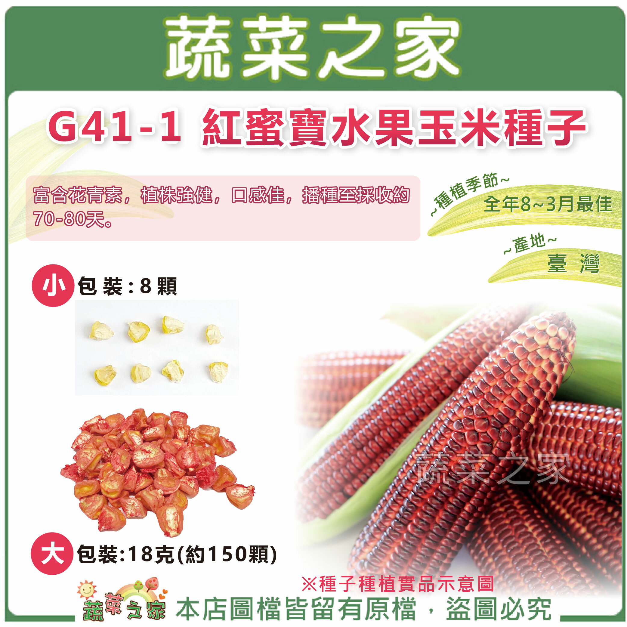 【蔬菜之家】G41-1.紅蜜寶水果玉米種子 (共2種規格可選)