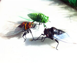動物模型仿真昆蟲知了蟬磁鐵 冰箱貼裝飾品場景布置攝影道具玩具