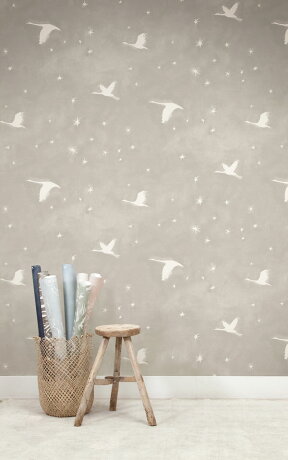 乳把色帶點灰色壁紙星星鳥紋水彩壁紙房間使用quercus Co 澳大利亞進口壁紙the Suketchi Collection Starlit Mouse Grey Wpsta 185 壁紙屋本舖 Rakuten樂天市場 乳把色帶點灰色壁紙星星鳥紋水彩壁紙房間使用quercus Co 澳大利亞進口壁紙the Suketchi Collection Starlit Mouse Grey Wpsta 185 壁紙屋本舖 Rakuten樂天市場