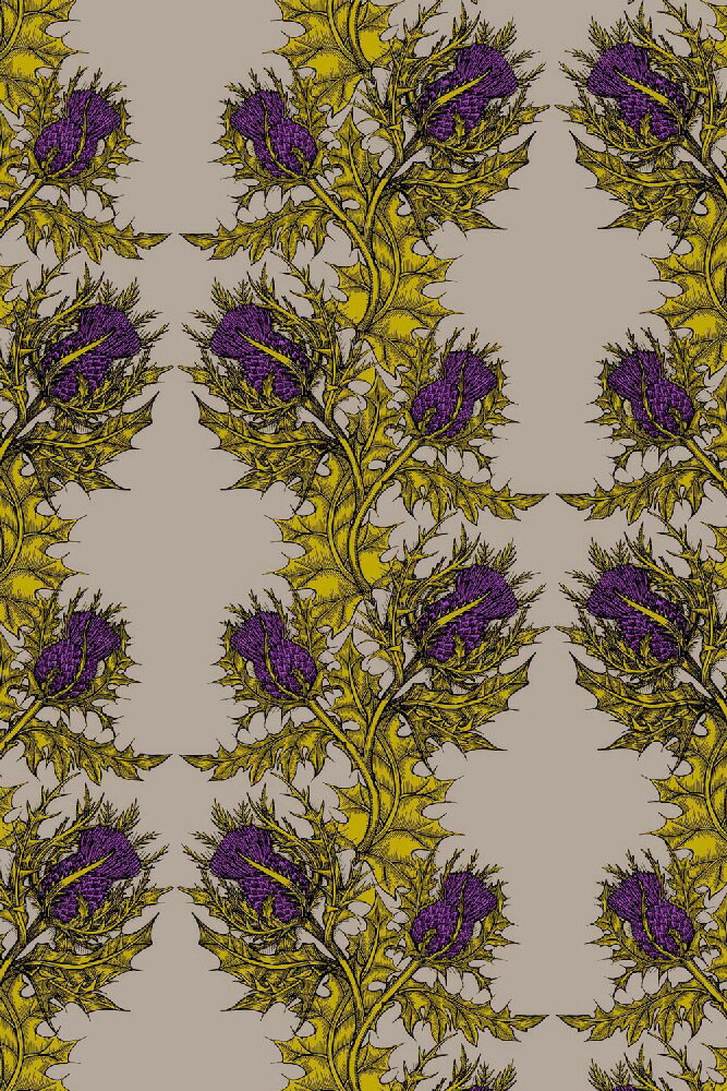 Timorous Beasties Grand Thistle Ex Grn 4008 Vny 壁紙 訂貨單位52cm 10m 卷 壁紙屋本舖 Rakuten樂天市場