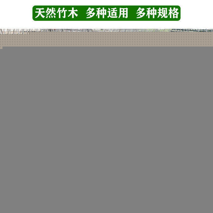 【滿500出貨】菜園竹竿種菜黃瓜爬藤支架彩旗桿小竹子棍豆角架菜園搭架柵欄裝飾【甄選優品】 4