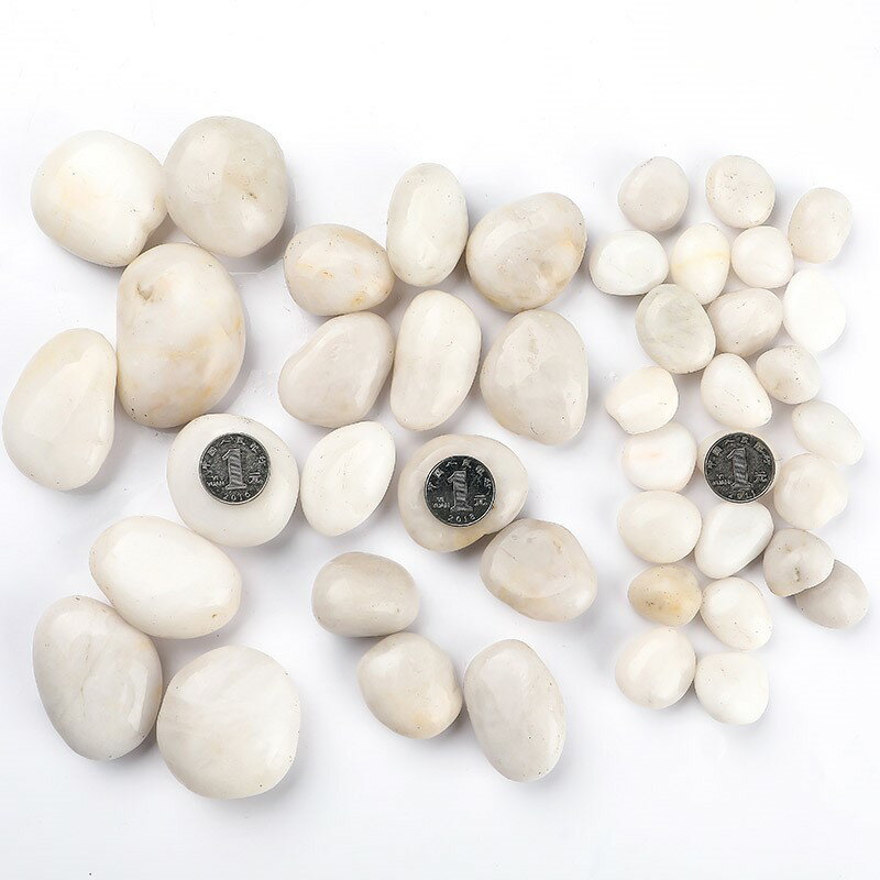 鋪面石鵝卵石雨花石天然白石子魚缸花盆鵝軟石裝飾盆栽園藝石頭子 3