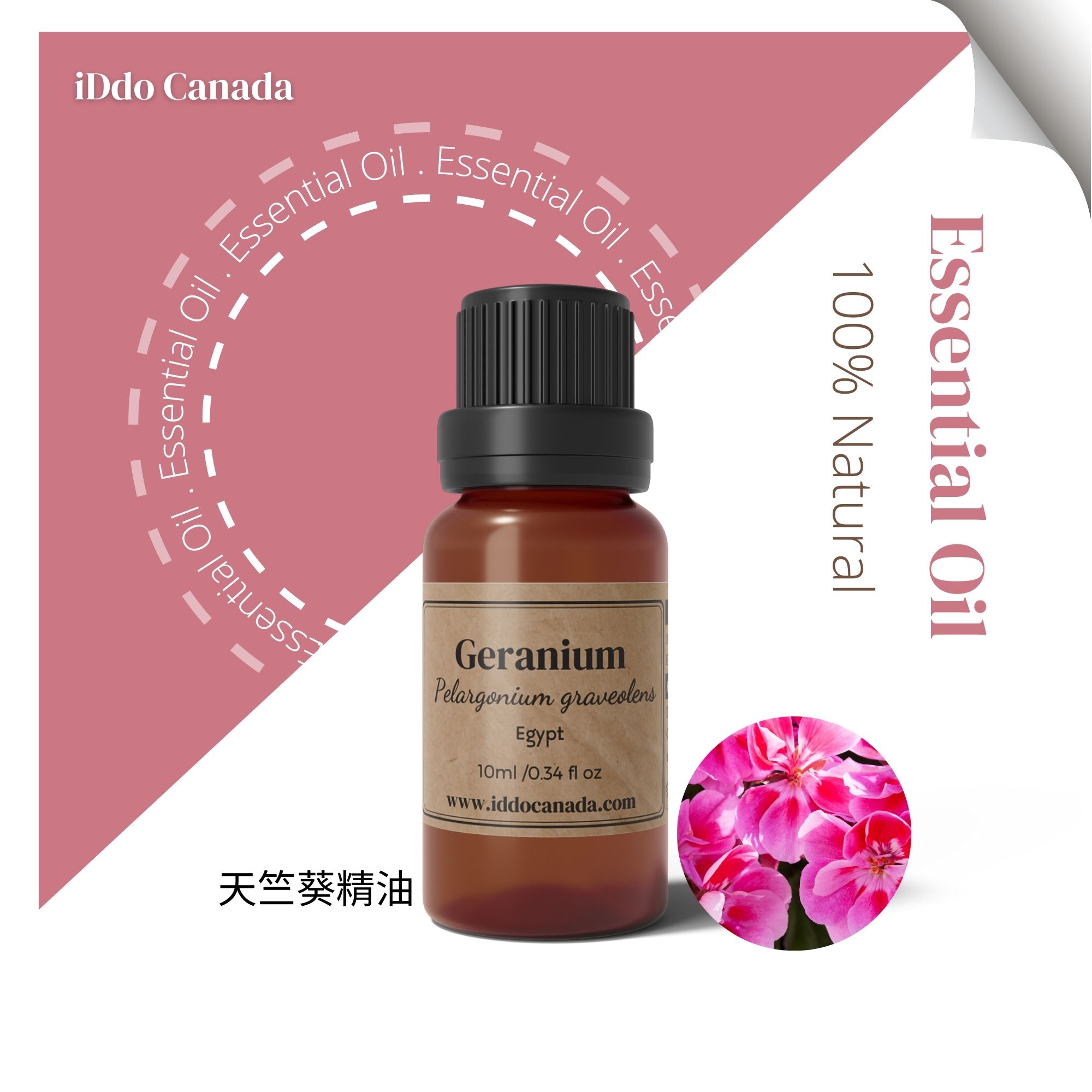 芳療師嚴選 單方精油 -天竺葵10ml