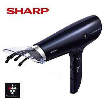 SHARP夏普 自動除菌離子吹風機 IB-GX9KT-B 經典款午夜黑 /頭皮護理吹風機 日本同步上市機種 【APP下單點數 加倍】