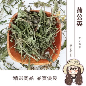 【日生元】 台灣 蒲公英 天然草本植物 浦公英茶