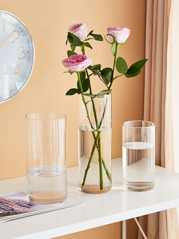 創意透明玻璃花瓶現代簡約水養插花玄關客廳餐桌家用裝飾擺件
