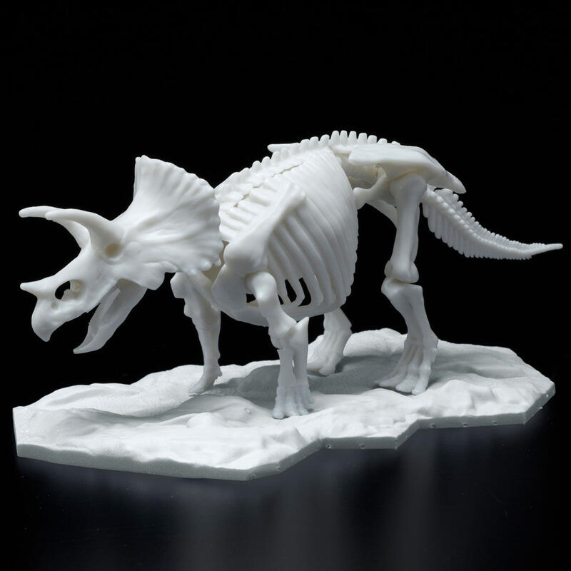 ☆勳寶玩具舖【現貨】代理版 萬代 BANDAI 組裝模型 恐龍組裝模型 LIMEX骨骼 三角龍