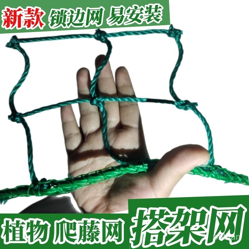 2米 3米寬園藝植物爬藤網瓜網苦瓜絲瓜黃瓜豆角葡萄百香果藤蔓攀爬網搭架網 加粗爬藤網 瓜果種植網 防護網