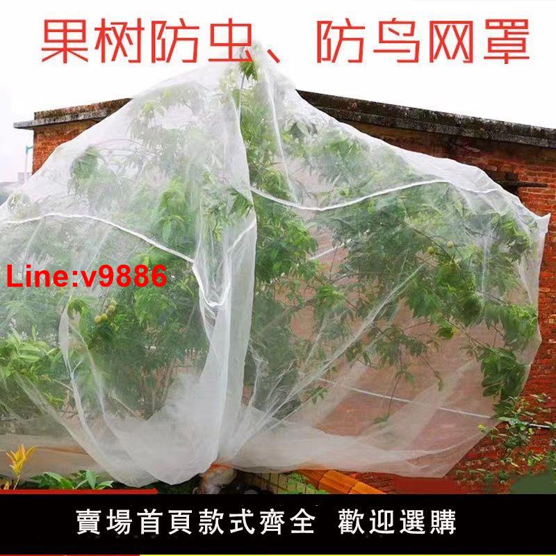 【臺灣公司 超低價】果樹防鳥防蟲網楊梅樹網罩大棚蓮霧藍莓網桃樹防鳥網網罩羅幔蚊帳