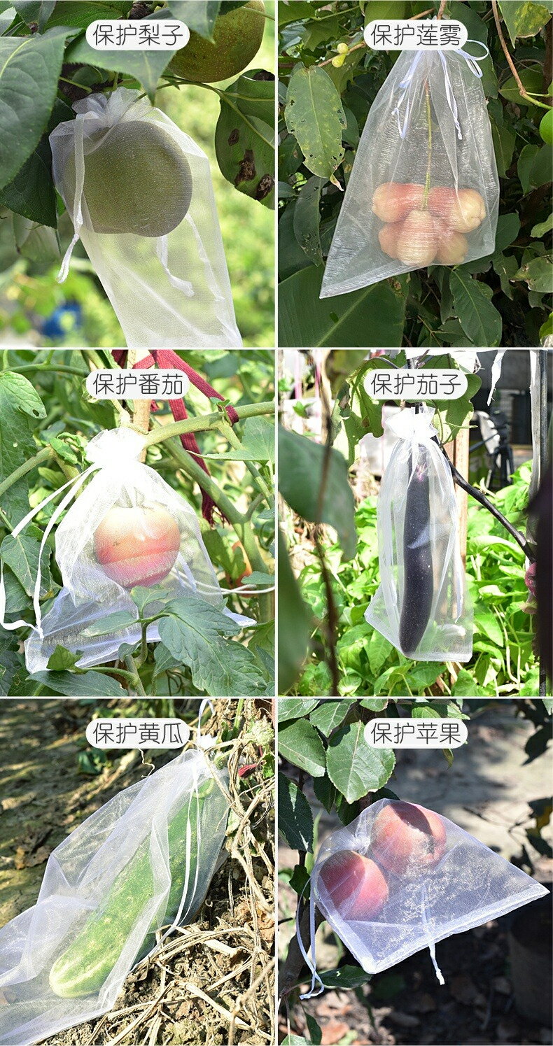 【雙拉繩紗袋-單入】水果套袋 紗網袋 雪紗網 防蟲網袋 水果網袋 紗袋 套袋 小物袋 整理袋 雪紗袋 婚禮 7