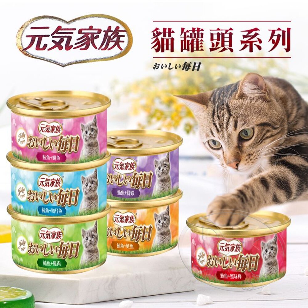 【299起免運】元氣家族 おいしい 每日貓罐 80g 金缶 貓罐頭 紅肉罐 鮪魚罐 貓副食罐【旺生活】