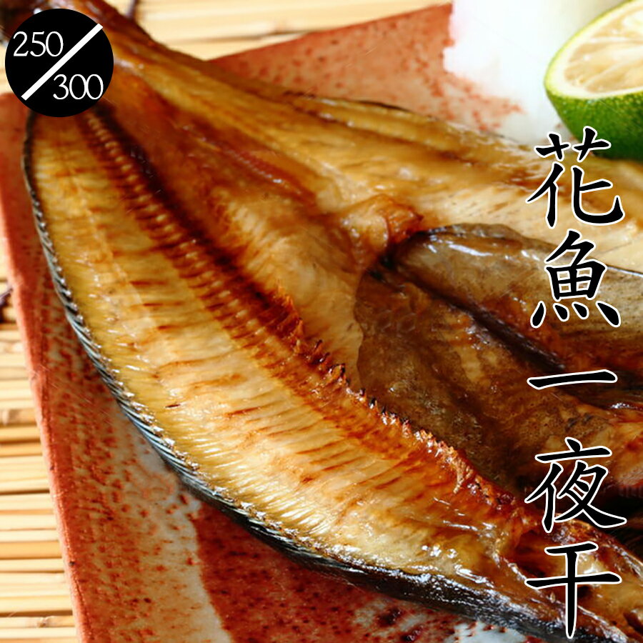 盅龐水產 日本北海道花魚250 350 重量260g 10 尾 零 130元 尾 鮮嫩大尾 零售歡迎批發 盅龐食品貿易 Rakuten樂天市場