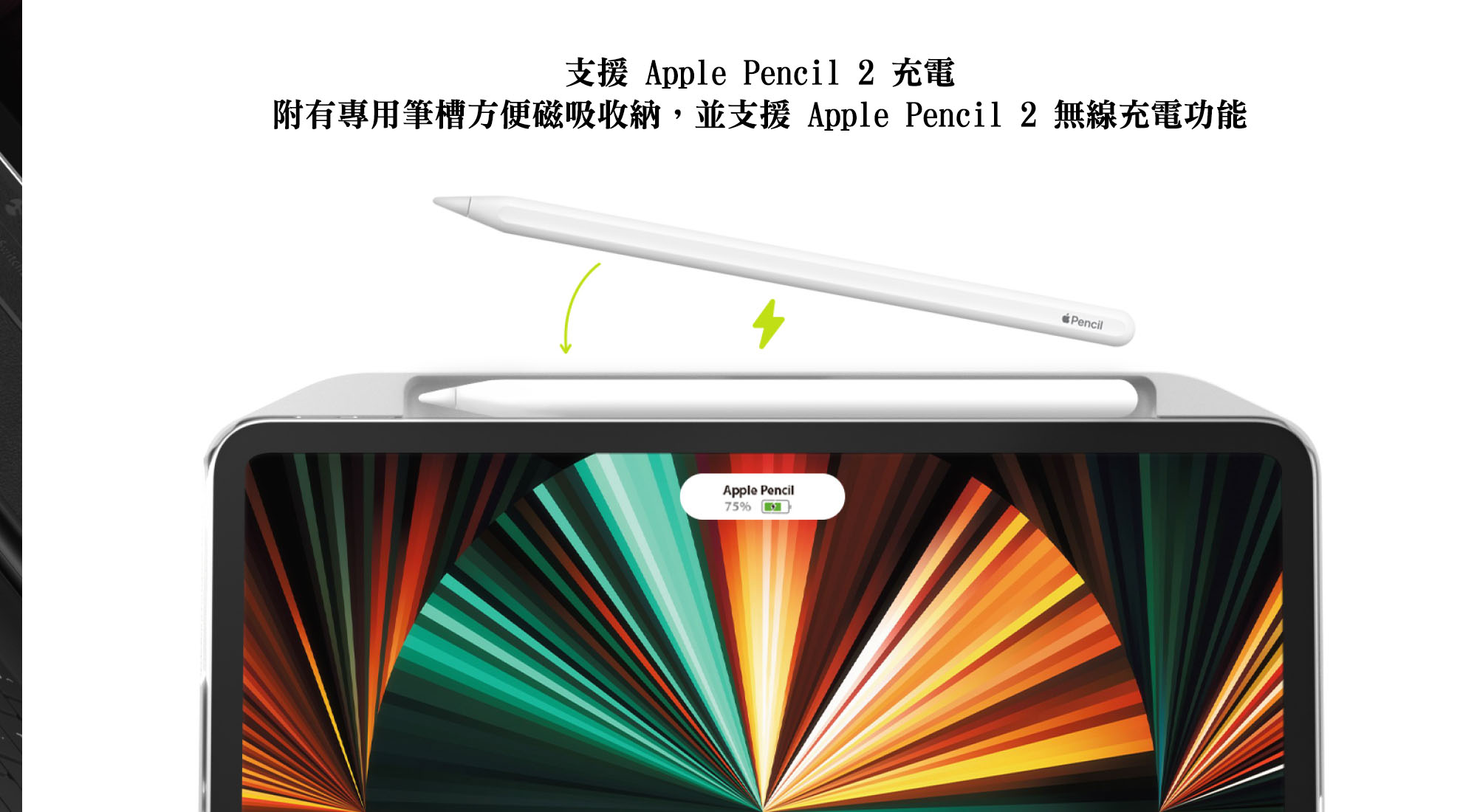 SwitchEasy 磁吸 平板保護殼 保護套 皮套 iPad Pro 11吋 12.9吋 2021年 1