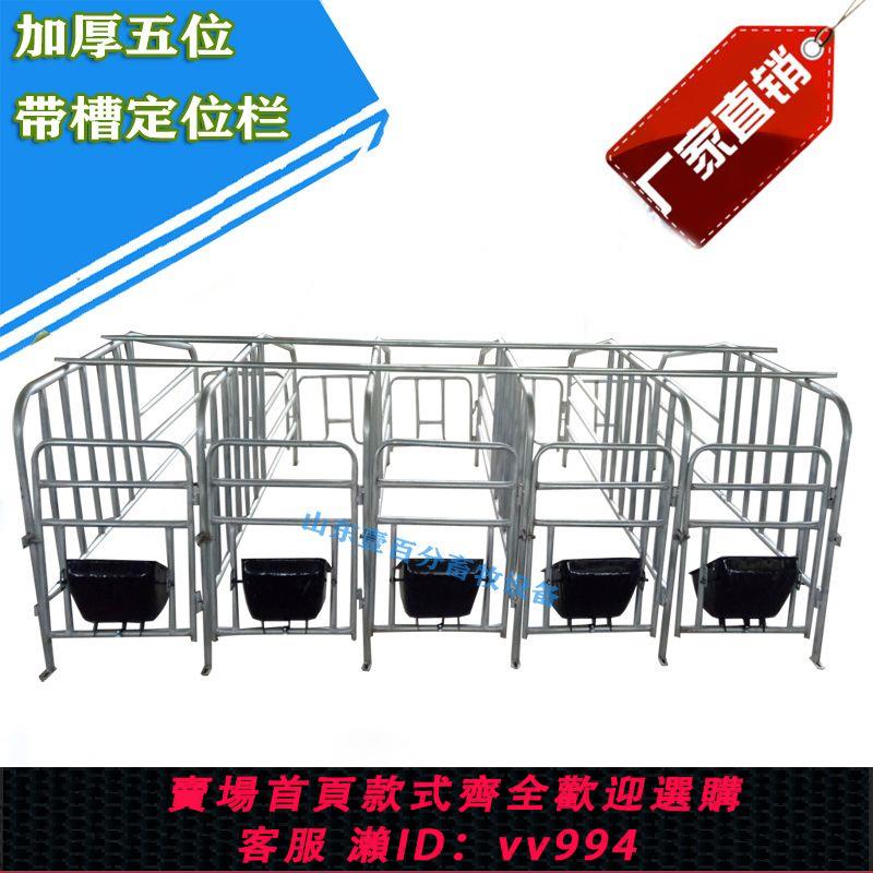 {公司貨 最低價}母豬定位欄限位欄加厚五位母豬產床豬產床仔豬保育床養豬裝置包郵