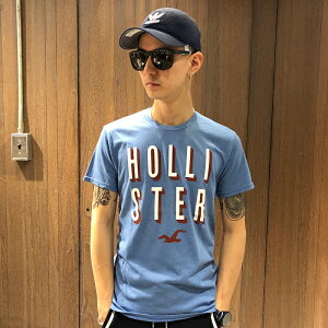 美國百分百【Hollister Co.】T恤 HCO 短袖 T-shirt 海鷗 logo 復古 天藍色 S號 AH52