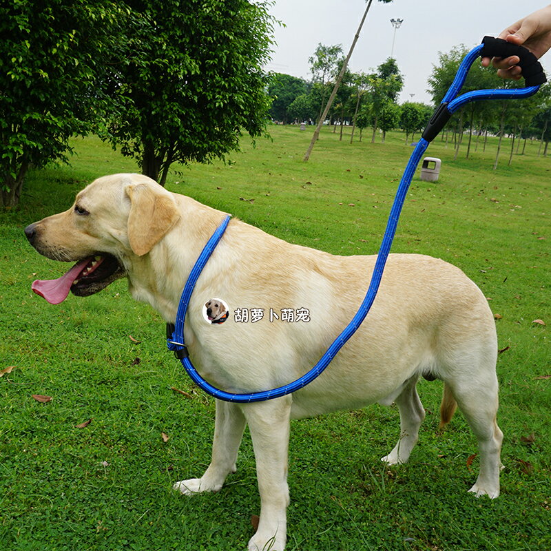 狗繩狗鏈子牽引繩金毛拉布拉多大型犬加粗加長P鏈P繩項圈寵物用品