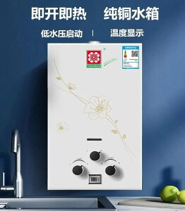 即熱式 熱水 器 日本櫻花牌 家用強排式低水壓啟動 即開 洗澡熱水 器