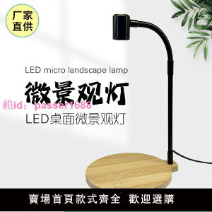 LED全光譜微景觀燈生態瓶燈植物生長燈補光燈苔蘚燈造景燈竹板燈