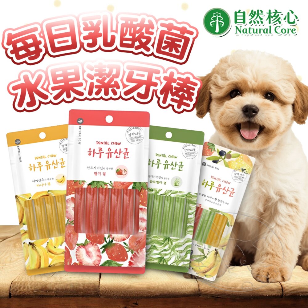【299起免運】韓國 NATURAL CORE 自然核心 每日乳酸菌潔牙棒(3入6入) 狗零食 潔牙棒【旺生活】
