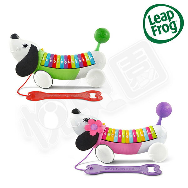 Leap frog 跳跳蛙 彩虹字母小狗 (綠/粉)【悅兒園婦幼生活館】