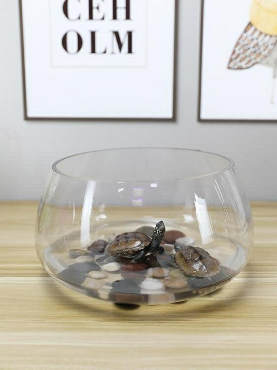 烏龜缸 魚缸玻璃圓形辦公桌綠蘿水培家用小魚創意透明小型迷你桌面烏龜缸XL 【麥田印象】