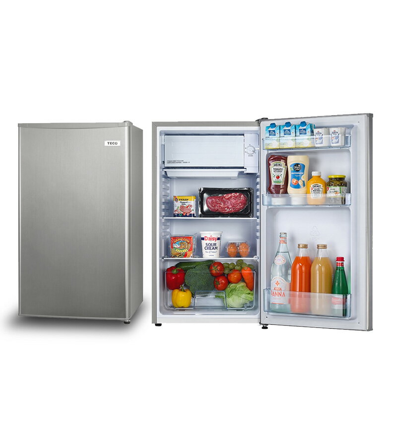 TECO東元 99公升 一級能效小鮮綠單門冰箱 灰 /台 R1095HS【領券滿額再折千11/30止】【領券滿額再折千11/30止】