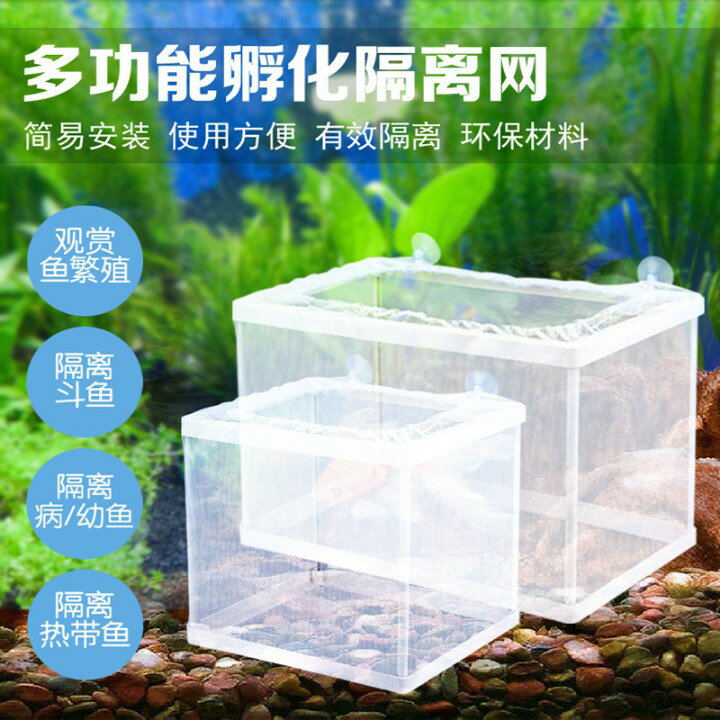 Jeneca/金利佳魚缸孵化盒水族箱孔雀魚隔離盒繁殖盒斗魚苗隔離盒