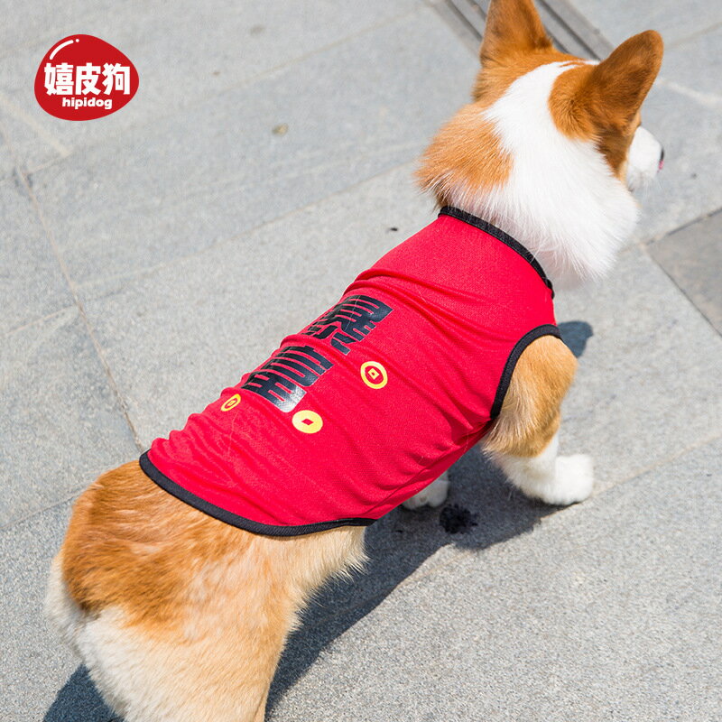 【優選百貨】春款寵物狗狗柯基衣服夏裝薄款背心防曬衣夏天網紅透氣潮牌中型犬