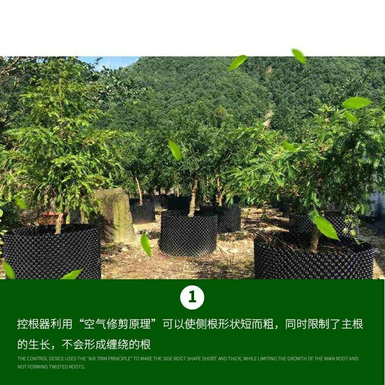 台灣現貨【控根器花盆】控根花盆圍植排水板植樹控根器底盤| 塔克 台灣現貨【控根器花盆】控根花盆圍植排水板植樹控根器底盤| 塔克