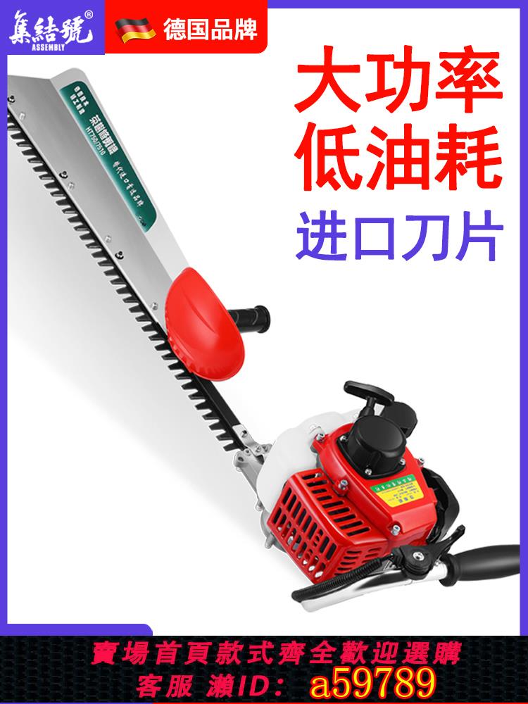 【臺灣公司 可打統編】德國集結號綠籬機汽油茶樹茶葉修枝剪進口採茶背負式粗枝剪重修王