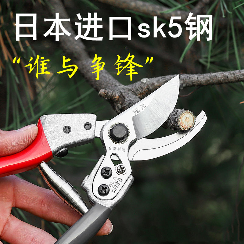 剪刀樹枝修剪果樹修剪刀修枝剪粗枝剪剪樹枝剪子SK5鋼園藝剪