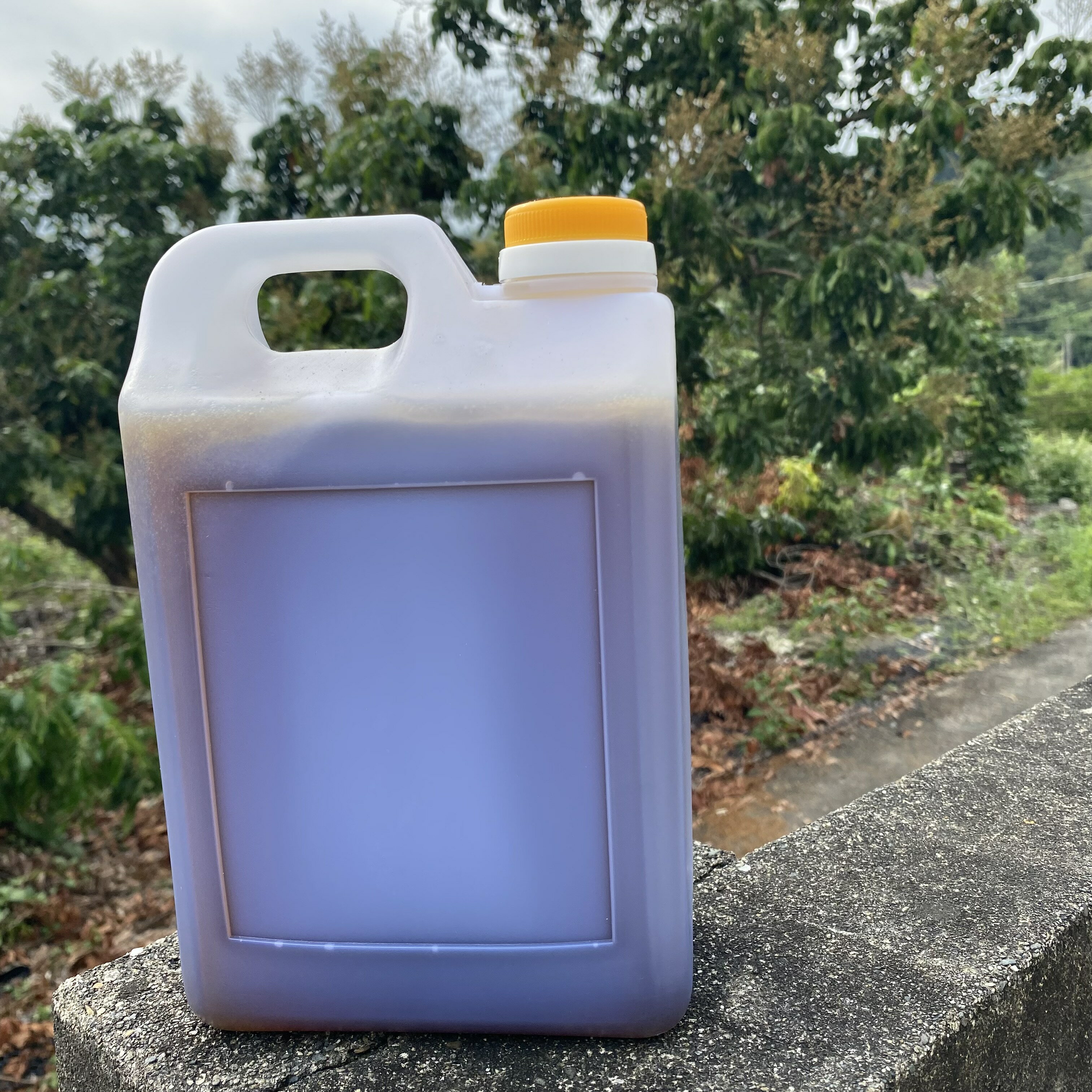 2025年台南東山龍眼花蜜(5斤/桶)