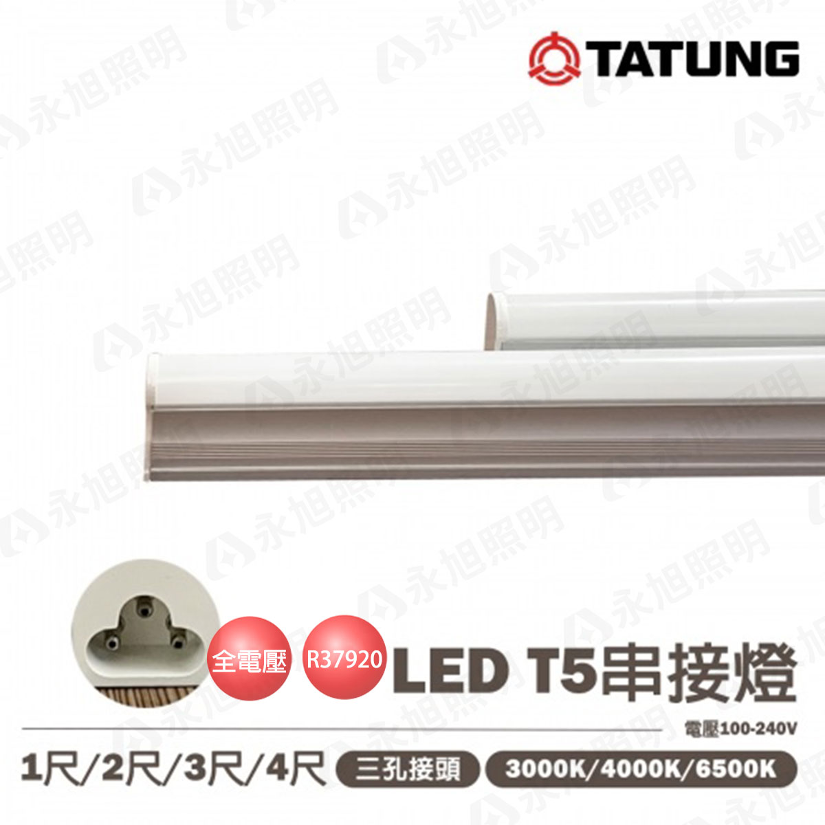 🚚大同💡LED T5 支架燈 3孔 串接燈 1尺~4尺 6W/10W/15W/20W 鋁支架 全電壓〖永光照明〗 TATUNG-T5LED%