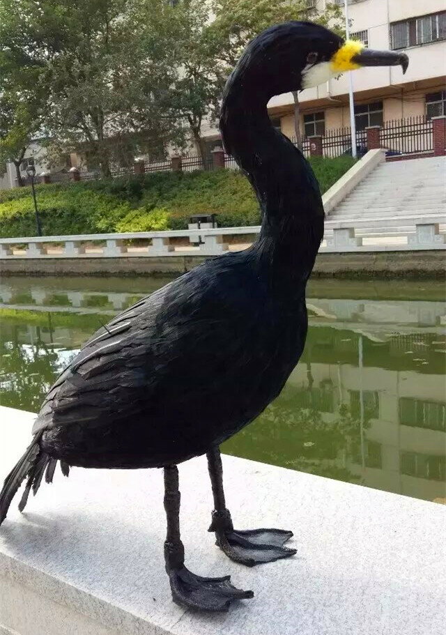 定做各種動物模型 模擬鸕鶿 羽毛魚鷹 小鳥園林裝飾 攝影教學道具