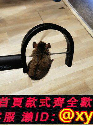 {保固一年 可打統編}智慧紅外線自動捕鼠器 自動抓鼠滅鼠家用驅鼠老鼠夾陳鼠剋星