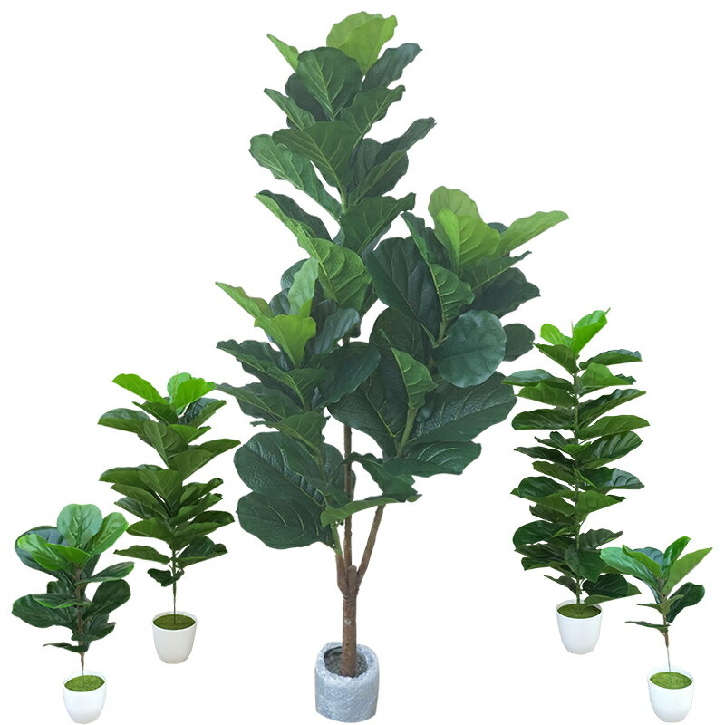 模擬琴葉榕樹單枝琴葉橡皮樹綠葉盆景盆栽客廳裝飾假花植物塑膠葉