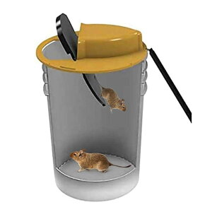 【翻蓋式捕鼠器】*不含桶* 老鼠陷阱 捕鼠蹺蹺板 捕鼠器 捕鼠神器 抓老鼠神器