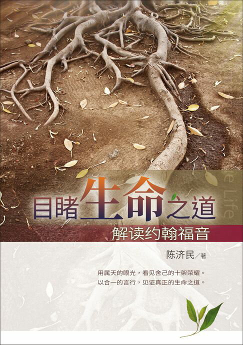 【電子書】(简)目睹生命之道：解读约翰福音 0