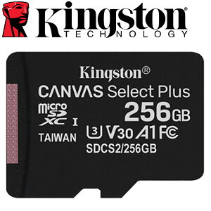 Kingston 金士頓 256GB microSDXC TF U3 A1 V30 記憶卡 SDCS2 256G