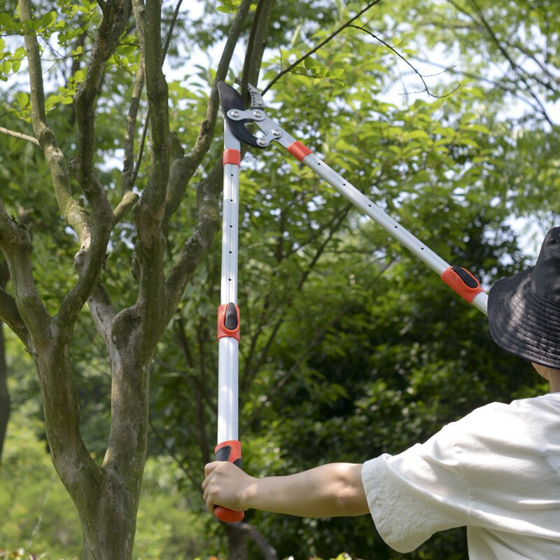 剪枝剪刀修剪樹枝園林花藝果樹伸縮大剪刀工具強力省力粗枝高枝剪
