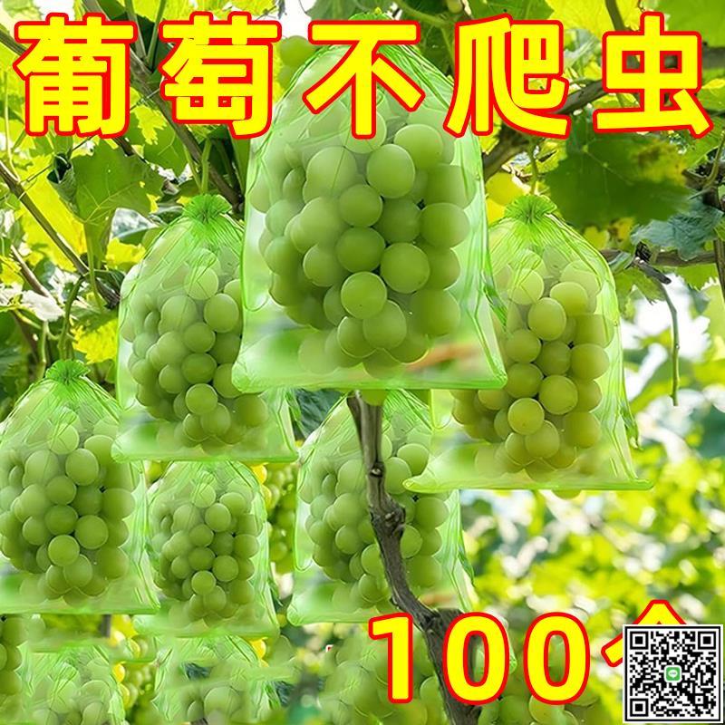 水果套袋防鳥通用袋瓜果防蟲專用袋無花果枇杷葡萄桃子草莓保護袋-UM.有米家居