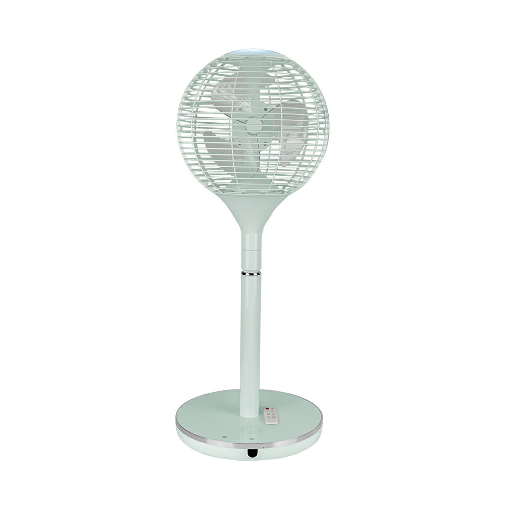 【贈珪藻土吸水地墊】NICONICO NI-S2011 360度球形DC遙控美型立扇｜電風扇｜ECO智慧溫控｜附遙控器 2