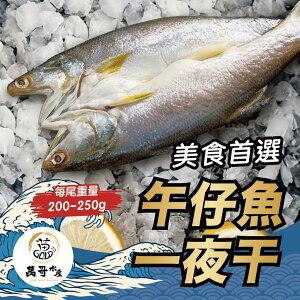 【萬哥水產】午仔魚一夜干 200-250g 冷凍宅配 廠商直送【金興發】