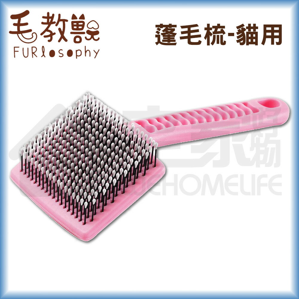 【毛教獸】蓬毛梳｜貓用 梳毛清潔 寵物梳毛刷 宅家寵物