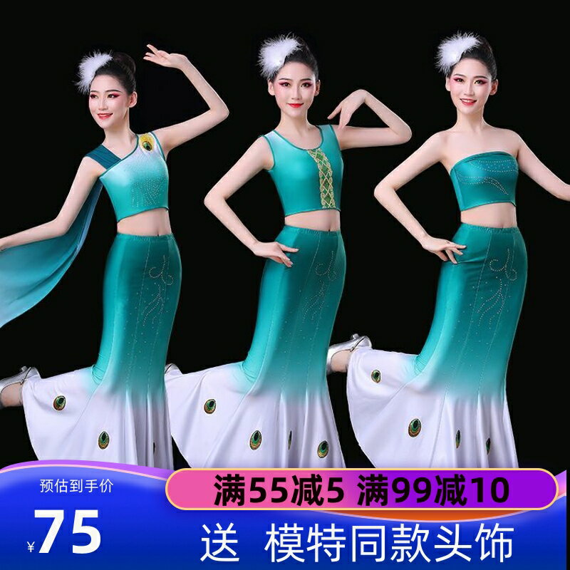 21新款成人傣族舞蹈演出服裝女藝考兒童孔雀舞民族練功魚尾裙修身