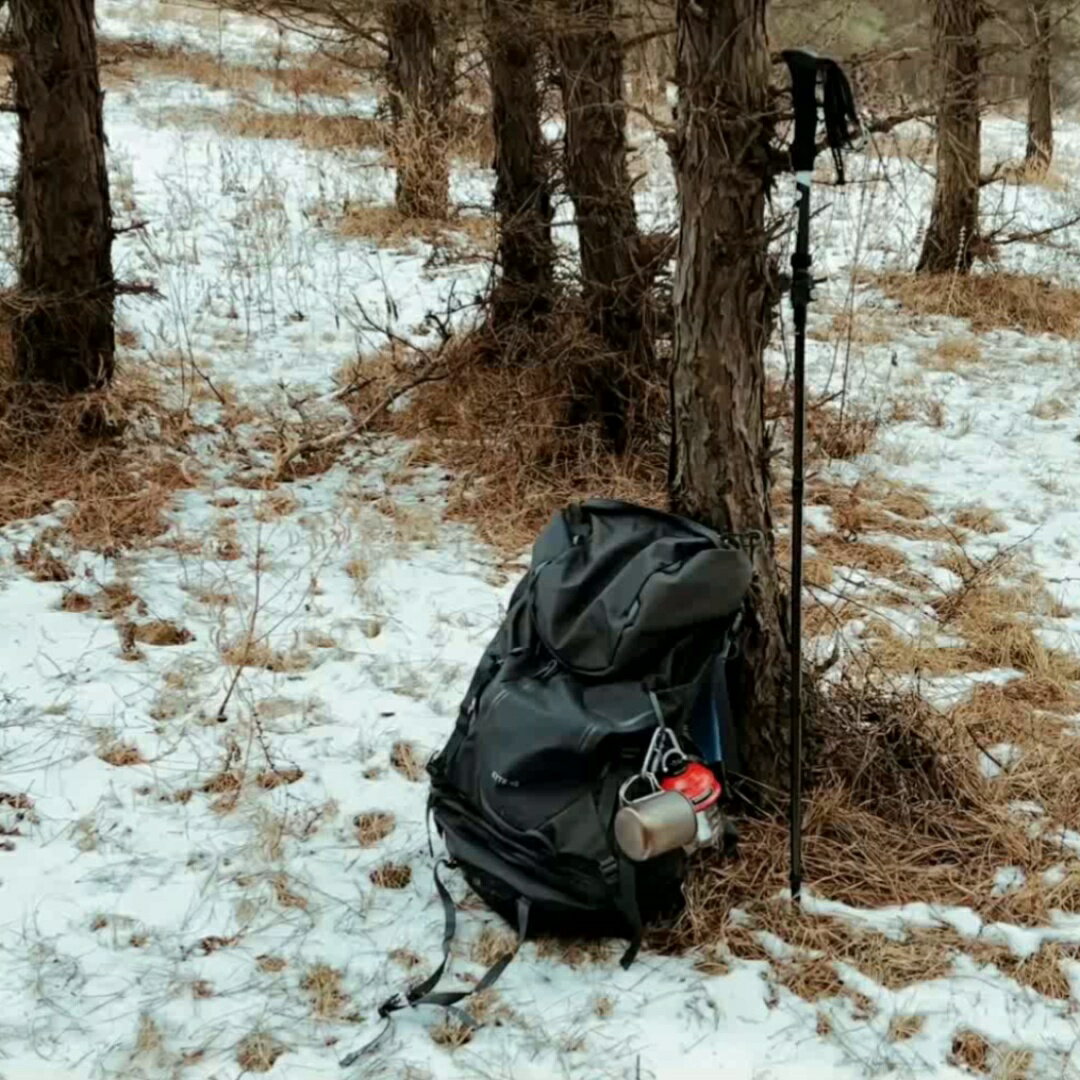 ETROL登山杖碳素超輕伸縮碳纖維折疊越野仗徒步手杖行山爬山裝備