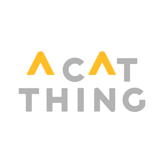 A Cat Thing